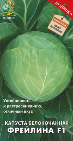 Капуста белокочанная Фрейлина F1 (А) (ЦВ) 0,2гр. фото в интернет-магазине "Сортовые семена"
