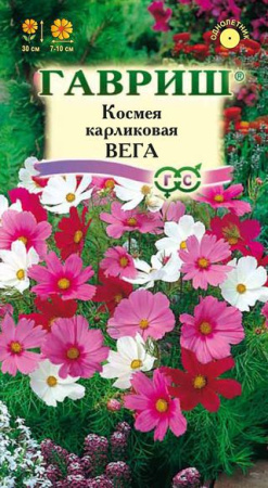 Космея Вега, бело-розовая смесь 0,5 г фото в интернет-магазине "Сортовые семена"