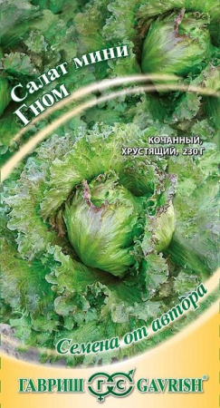 Салат Гном 0,5 г автор. мини, кудрявый, хрустящий,темно-зеленый фото в интернет-магазине "Сортовые семена"