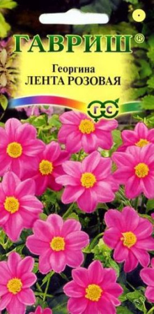 Георгина Лента розовая 0,2 г фото в интернет-магазине "Сортовые семена"