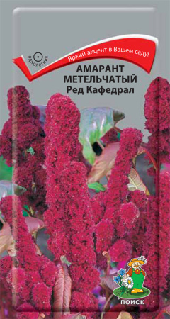 Амарант метельчатый Ред Кафедрал (ЦП) 0,1 фото в интернет-магазине "Сортовые семена"