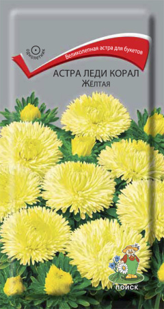 Астра Леди Корал Желтая (ЦП) 0,1 фото в интернет-магазине "Сортовые семена"
