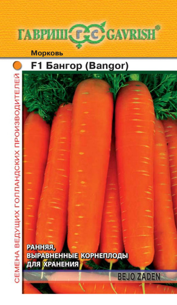 Морковь Бангор F1 150 шт. (Голландия) фото в интернет-магазине "Сортовые семена"
