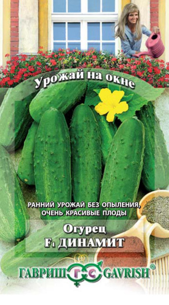 Огурец Динамит F1 10 шт. серия Урожай на окне фото в интернет-магазине "Сортовые семена"