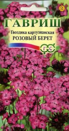 Гвоздика картузианская Розовый берет*, 0,05 г Н9 фото в интернет-магазине "Сортовые семена"