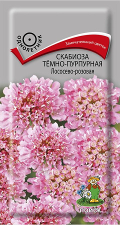 Скабиоза темно-пурпурная Лососево-розовая (ЦВ) 0,2гр фото в интернет-магазине "Сортовые семена"