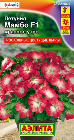 Петуния Мамбо F1 красное утро многоцветковая ---   Одн (драже в пробирке) Сел. Hem Genetics фото в интернет-магазине "Сортовые семена"