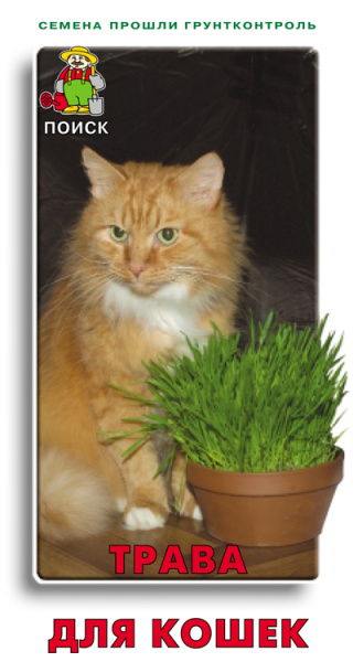 Трава для кошек фото в интернет-магазине "Сортовые семена"