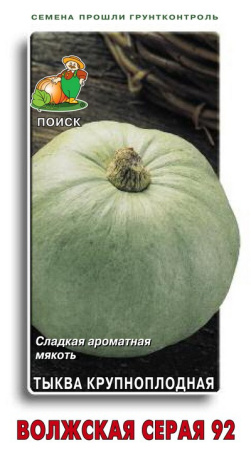 Тыква крупноплодная Волжская серая 92(ЦВ) 10шт. фото в интернет-магазине "Сортовые семена"