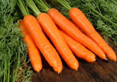 Морковь Берликум Роял s 2г фото в интернет-магазине "Сортовые семена"