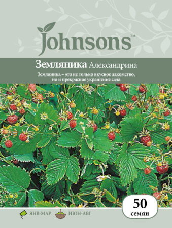 Земляника Александрина фото в интернет-магазине "Сортовые семена"