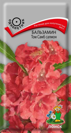 Бальзамин Том Самб салмон ( ЦВ) ("1) 0,1гр. фото в интернет-магазине "Сортовые семена"