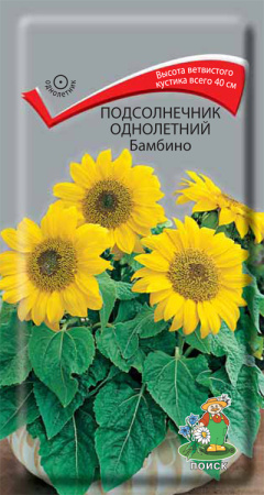 Подсолнечник однолетний Бамбино (ЦП) 0,5 фото в интернет-магазине "Сортовые семена"