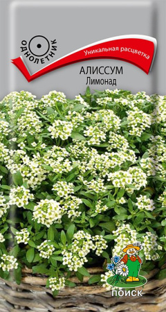 Алиссум Лимонад  (ЦВ) ("1) 0,3гр. фото в интернет-магазине "Сортовые семена"