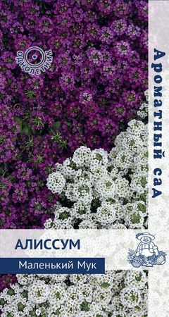 Алиссум Маленький Мук (ЦП) 0,3 фото в интернет-магазине "Сортовые семена"