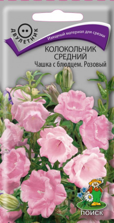 Колокольчик средний Чашка с блюдцем Розовый (ЦП) 0,1 фото в интернет-магазине "Сортовые семена"