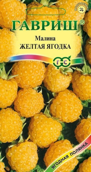 Малина Желтая ягодка 10 шт. фото в интернет-магазине "Сортовые семена"