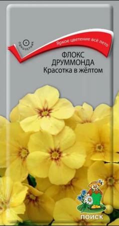 Флокс друммонда Красотка в желтом (ЦП) 0,1 фото в интернет-магазине "Сортовые семена"