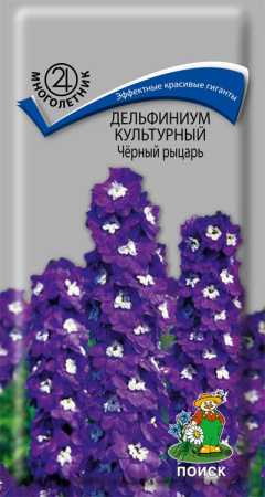 Дельфиниум культурный Черный рыцарь (ЦП) 0,05 фото в интернет-магазине "Сортовые семена"