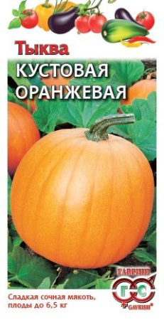 Тыква Кустовая оранжевая 1,0 г фото в интернет-магазине "Сортовые семена"