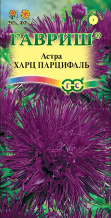 Астра Харц Парцифаль 0,3 г, тонкоигольчая темно-фиолетовая фото в интернет-магазине "Сортовые семена"