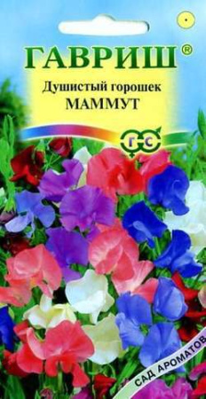 Душистый горошек Маммут, смесь 0,5 г серия Сад ароматов фото в интернет-магазине "Сортовые семена"