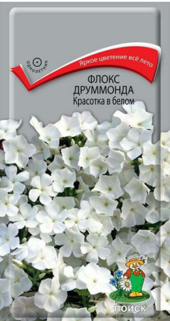Флокс друммонда Красотка в белом (ЦП) 0,1 фото в интернет-магазине "Сортовые семена"