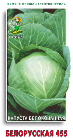 Капуста белокочанная Белорусская 455 (ЦВ) 0,5гр. фото в интернет-магазине "Сортовые семена"