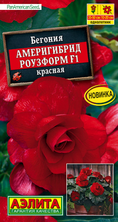 Бегония Америгибрид Роузформ F1 красная ---   Одн (драже в пробирке) Сел. PanAmerican Seed фото в интернет-магазине "Сортовые семена"