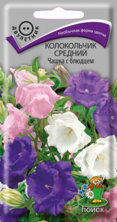 Колокольчик средний Чашка с блюдцем (ЦВ) ("2) 0,2гр. фото в интернет-магазине "Сортовые семена"
