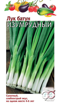 Лук батун Изумрудный 1 г фото в интернет-магазине "Сортовые семена"
