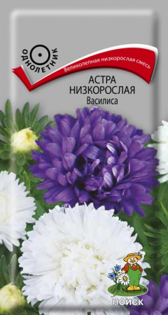 Астра низкорослая Василиса (ЦВ) ("1) 0,2гр. фото в интернет-магазине "Сортовые семена"