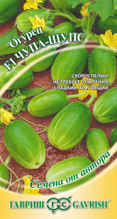 Огурец Чупа-Щупс F1 5 шт. автор. фото в интернет-магазине "Сортовые семена"