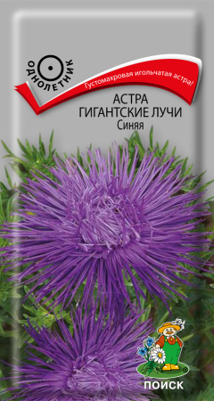 Астра Гигантские лучи Синяя (ЦП) 0,3 фото в интернет-магазине "Сортовые семена"