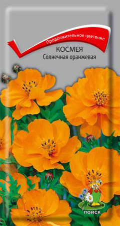 Космея Солнечная оранжевая фото в интернет-магазине "Сортовые семена"