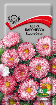 Астра Баронесса Красно-белая (ЦВ) ("1) 0,3гр. фото в интернет-магазине "Сортовые семена"