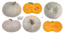 Тыква крупноплодная Волжская серая 92 фермерская фас. 25г фото в интернет-магазине "Сортовые семена"