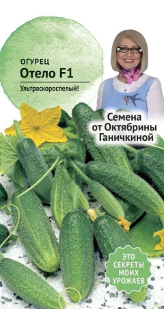 Огурец Отело 0,3 г фото в интернет-магазине "Сортовые семена"