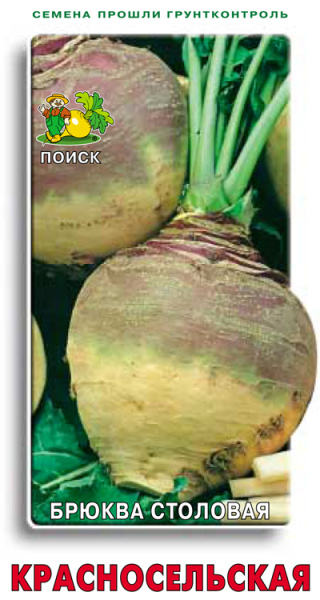 Брюква Красносельская фото в интернет-магазине "Сортовые семена"