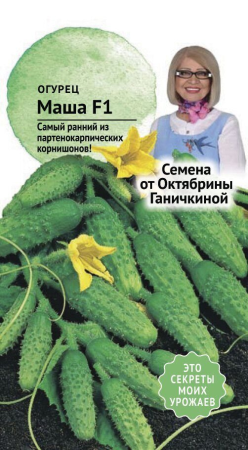Огурец Маша F1 8 шт фото в интернет-магазине "Сортовые семена"