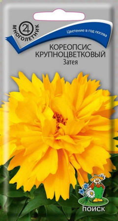 Кореопсис крупноцветковый Затея (ЦП) 0,05 фото в интернет-магазине "Сортовые семена"