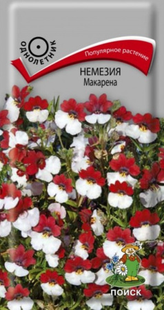 Немезия Макарена (ЦВ) ("1) 0,05гр фото в интернет-магазине "Сортовые семена"