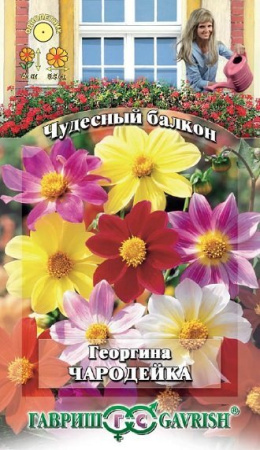 Георгина Чародейка, смесь 0,3 г сер. Чудесный балкон фото в интернет-магазине "Сортовые семена"
