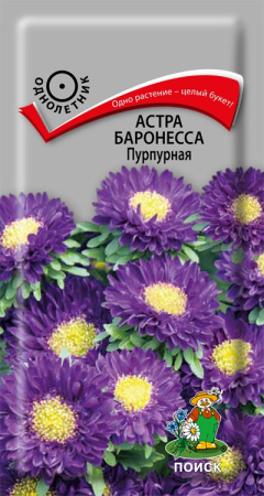 Астра Баронесса Пурпурная (ЦВ) ("1) 0,3гр. фото в интернет-магазине "Сортовые семена"