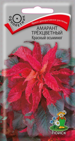 Амарант трехцветный Красный осьминог (ЦП) 0,1 фото в интернет-магазине "Сортовые семена"