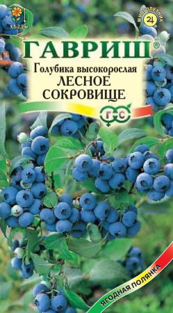 Голубика высокорослая Лесное сокровище 30 шт. фото в интернет-магазине "Сортовые семена"