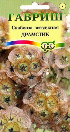 Скабиоза звездчатая Драмстик  0,2 г фото в интернет-магазине "Сортовые семена"