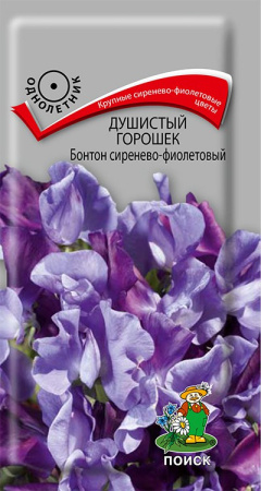 Душистый горошек Бонтон сиренево-фиолетовый (ЦВ ) ("1) 1гр. фото в интернет-магазине "Сортовые семена"