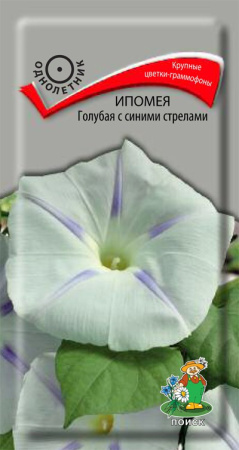 Ипомея Голубая с синими стрелами (ЦВ) ("1) 0,5гр. фото в интернет-магазине "Сортовые семена"