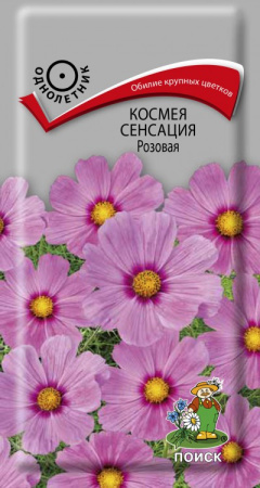 Космея Сенсация Розовая (ЦВ) ("1) 0,3гр фото в интернет-магазине "Сортовые семена"